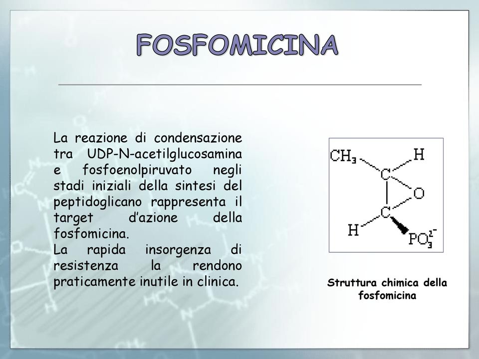 rappresenta il target d azione della fosfomicina.