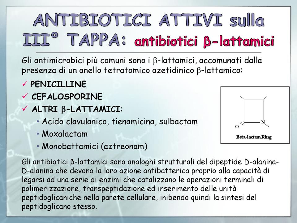 dipeptide D-alanina- D-alanina che devono la loro azione antibatterica proprio alla capacità di legarsi ad una serie di enzimi che catalizzano le operazioni