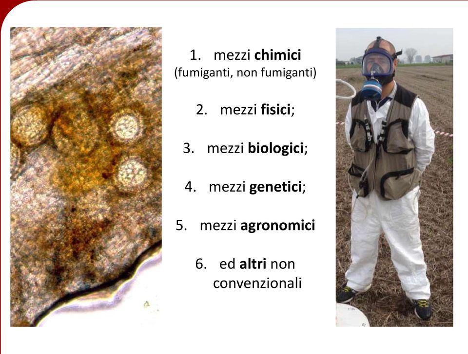 mezzi biologici; 4. mezzi genetici; 5.