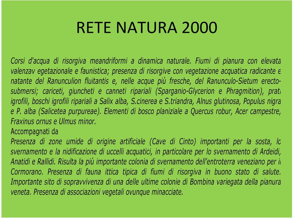 Ranunculo-Sietum erectosubmersi; cariceti, giuncheti e canneti ripariali (Sparganio-Glycerion e Phragmition), prati igrofili, boschi igrofili ripariali a Salix alba, S.cinerea e S.