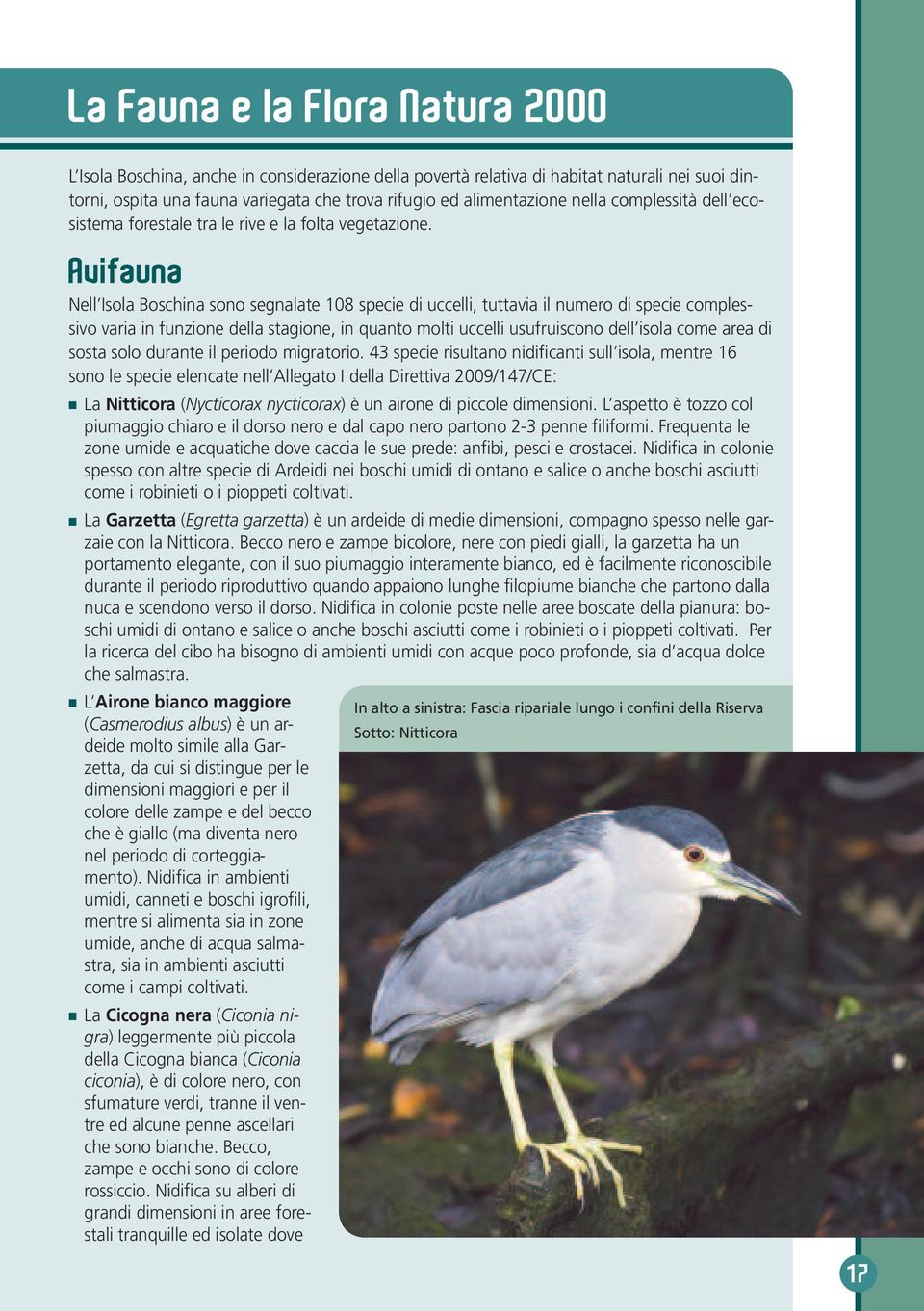 Avifauna Nell Isola Boschina sono segnalate 108 specie di uccelli, tuttavia il numero di specie complessivo varia in funzione della stagione, in quanto molti uccelli usufruiscono dell isola come area