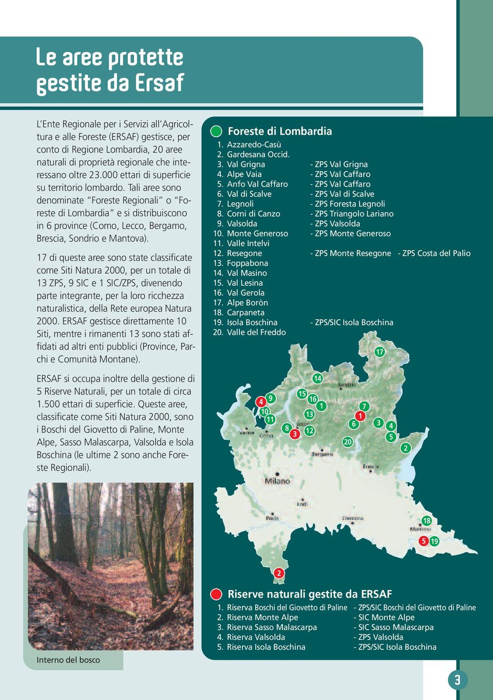 Tali aree sono denominate Foreste Regionali o Foreste di Lombardia e si distribuiscono in 6 province (Como, Lecco, Bergamo, Brescia, Sondrio e Mantova).