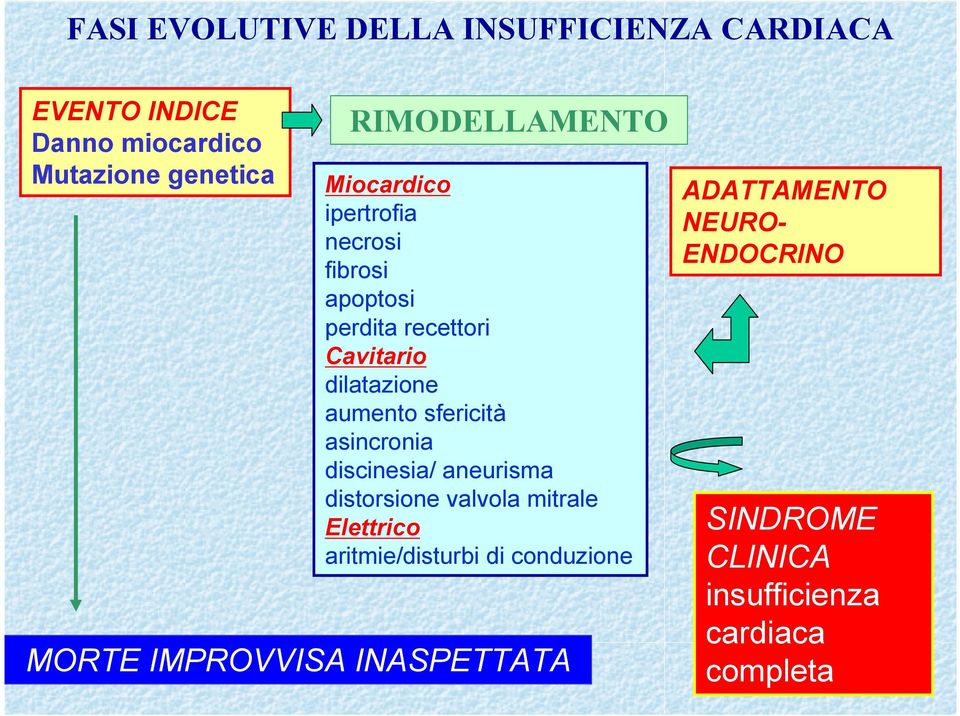 aumento sfericità asincronia discinesia/ aneurisma distorsione valvola mitrale Elettrico