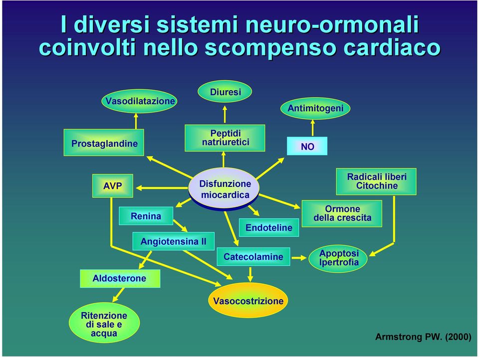 AVP Renina Endoteline NO Radicali liberi Citochine Ormone della crescita Angiotensina II