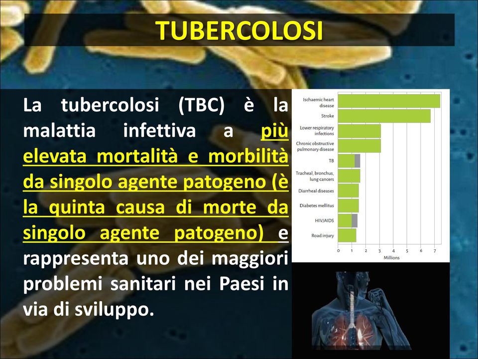 quinta causa di morte da singolo agente patogeno) e rappresenta