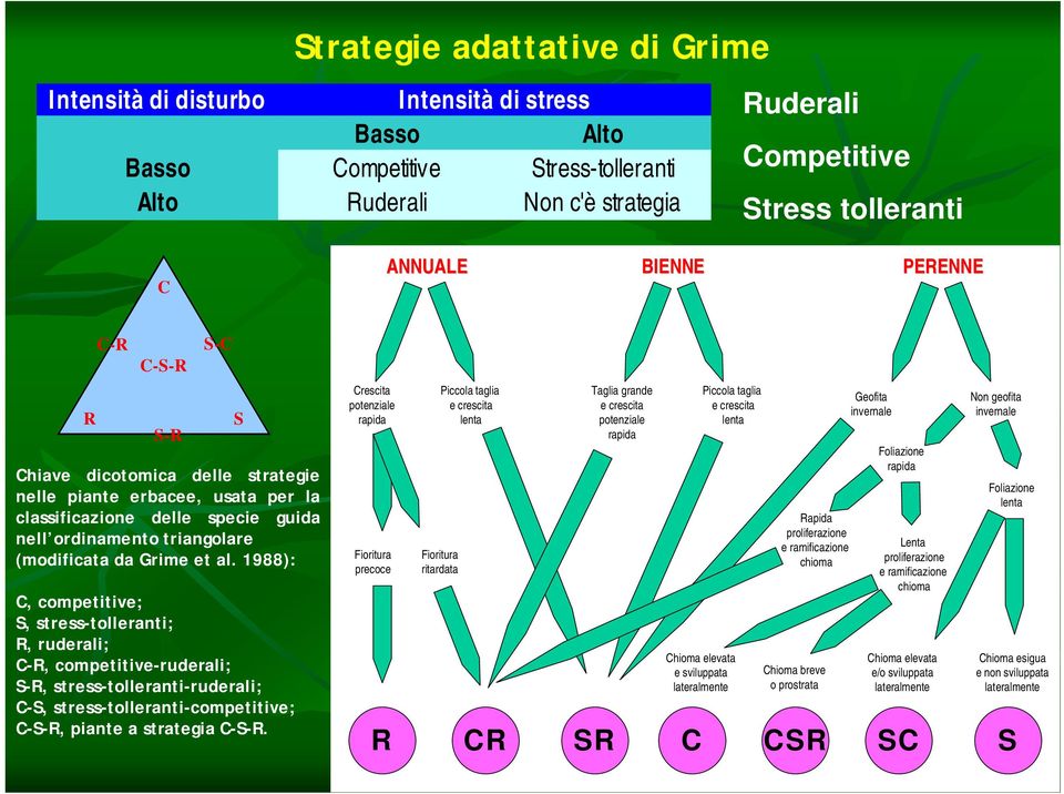 1988): C, competitive; S, stress-tolleranti; R, ruderali; C-R, competitive-ruderali; S-R, stress-tolleranti-ruderali; C-S, stress-tolleranti-competitive; C-S-R, piante a strategia C-S-R.