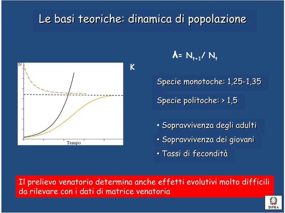 Sopravvivenza dei giovani Tassi di fecondità Il prelievo venatorio