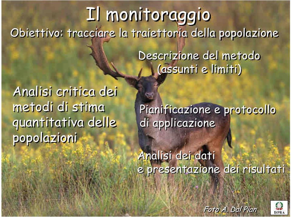 stima quantitativa delle popolazioni Pianificazione e protocollo di