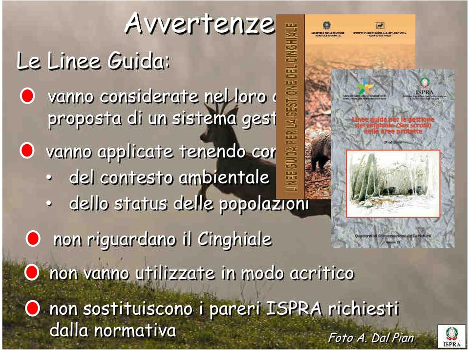 ambientale dello status delle popolazioni non riguardano il Cinghiale non vanno