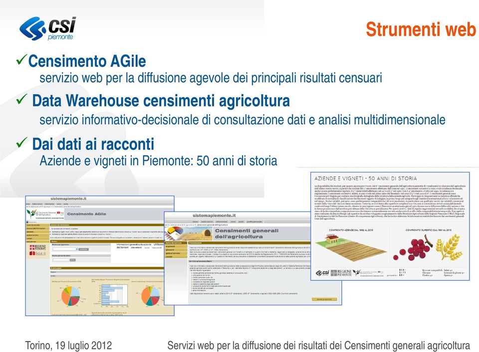 servizio informativo-decisionale di consultazione dati e analisi