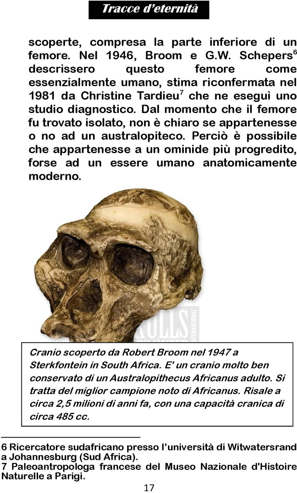 Dal momento che il femore fu trovato isolato, non è chiaro se appartenesse o no ad un australopiteco.