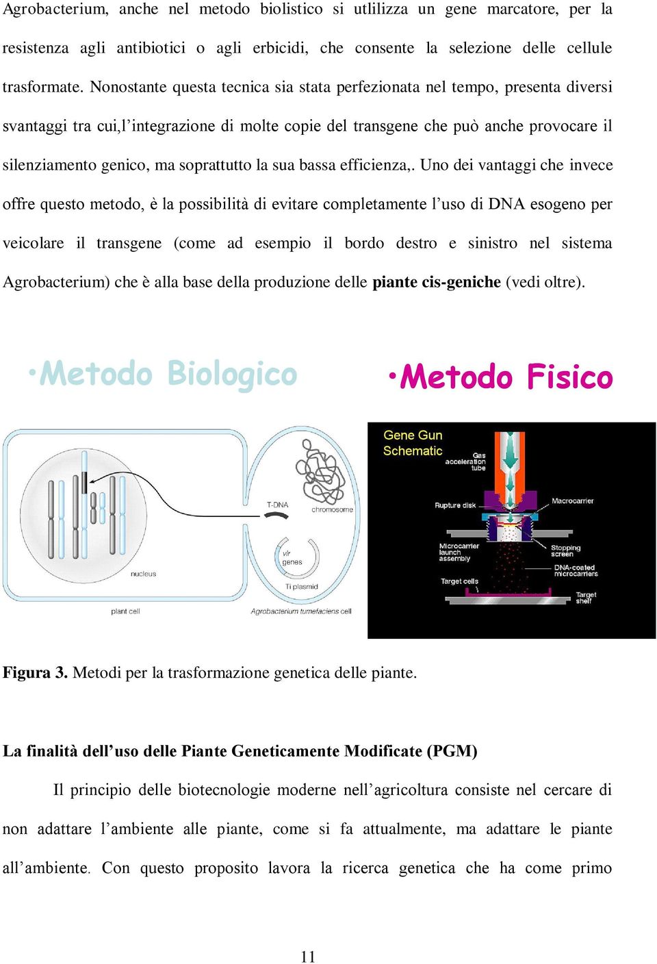 soprattutto la sua bassa efficienza,.