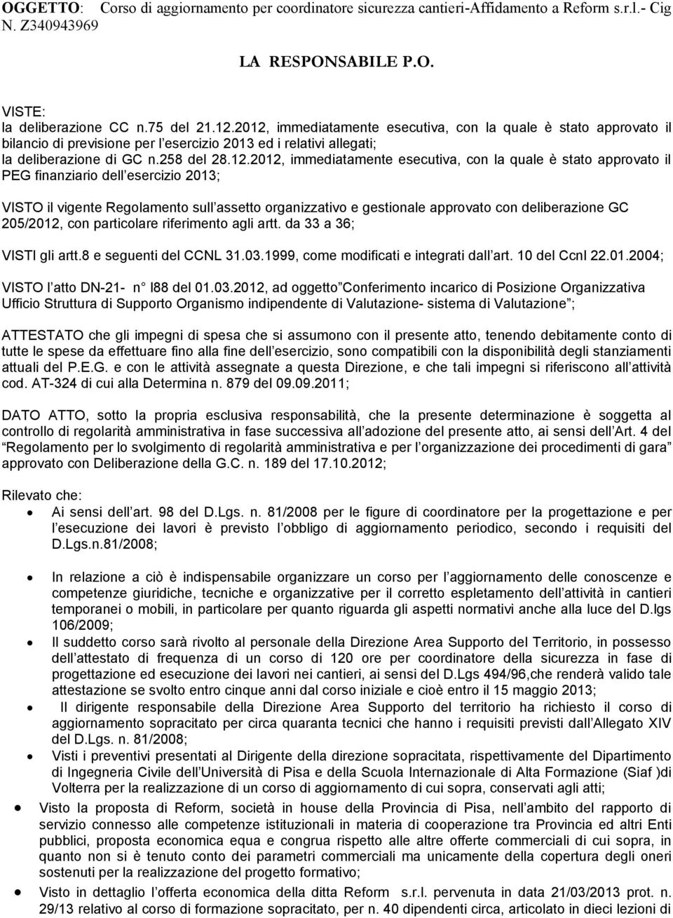 esecutiva, con la quale è stato approvato il PEG finanziario dell esercizio 2013; VISTO il vigente Regolamento sull assetto organizzativo e gestionale approvato con deliberazione GC 205/2012, con