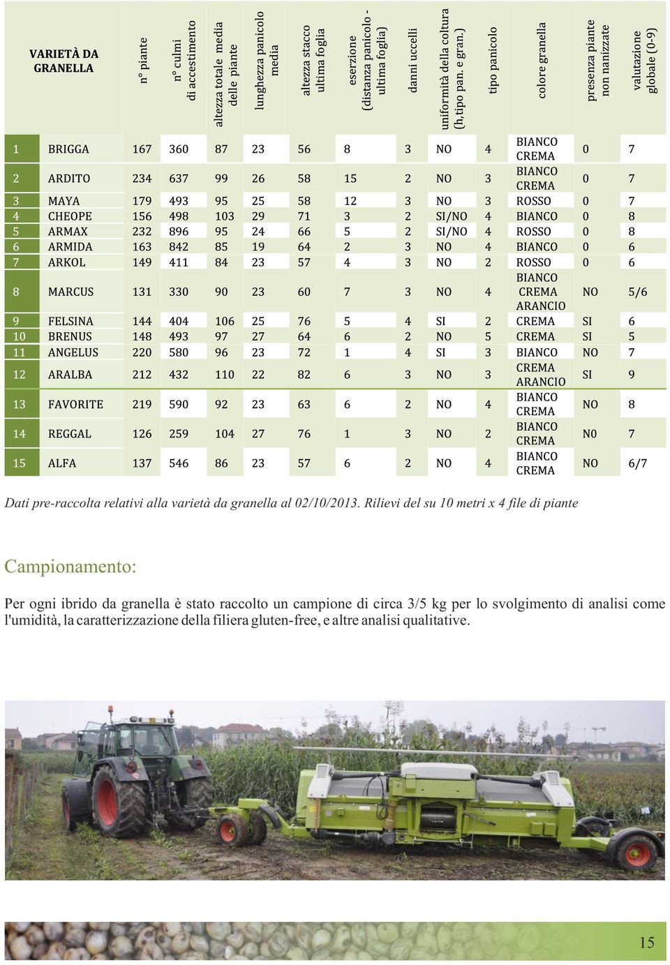 granella è stato raccolto un campione di circa 3/5 kg per lo svolgimento di