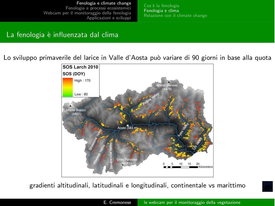 larice in Valle d Aosta può variare di 90 giorni in base alla quota