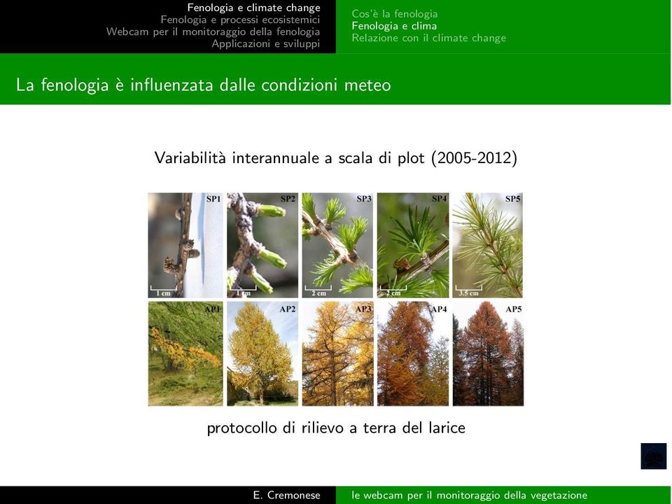 condizioni meteo Variabilità interannuale a scala di