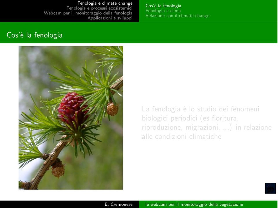 studio dei fenomeni biologici periodici (es fioritura,