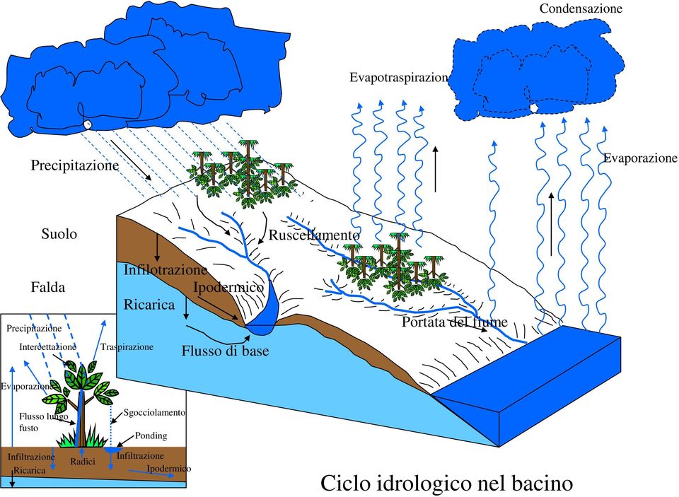 Traspirazione Flusso di base Portata del fiume Evaporazione Flusso lungo fusto