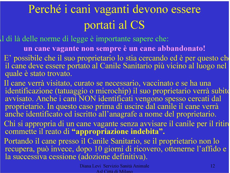 Il cane verrà visitato, curato se necessario, vaccinato e se ha una identificazione (tatuaggio o microchip) il suo proprietario verrà subito avvisato.