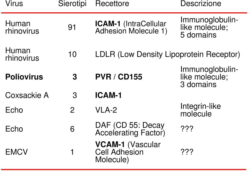 Poliovirus 3 PVR / CD155 Coxsackie A 3 ICAM-1 Echo 2 VLA-2 Echo 6 EMCV 1 DAF (CD 55: Decay Accelerating