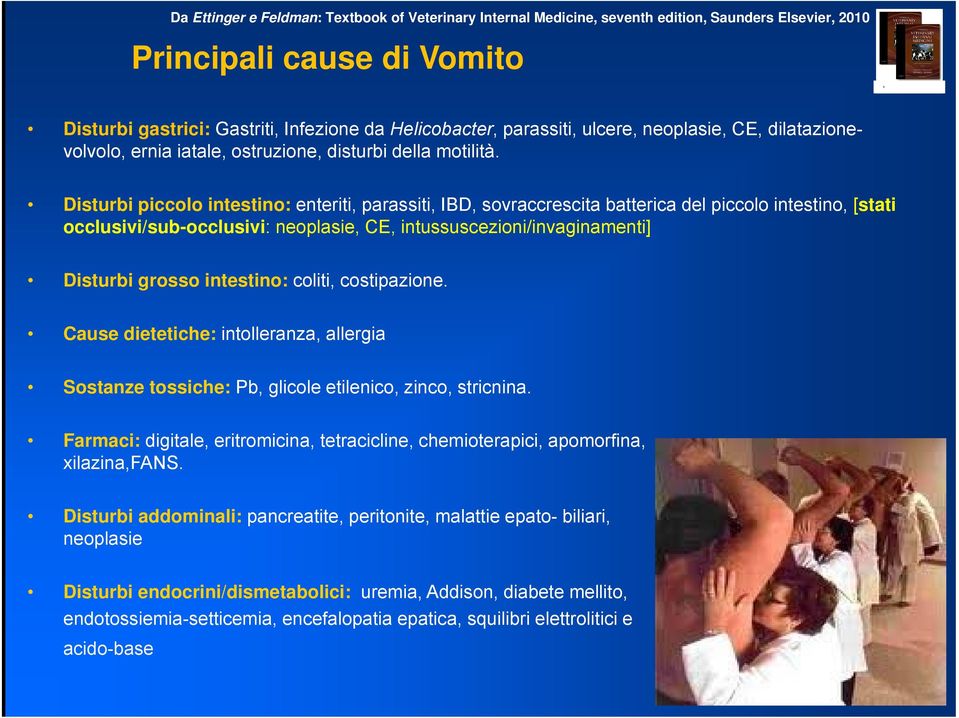 Disturbi piccolo intestino: enteriti, parassiti, IBD, sovraccrescita batterica del piccolo intestino, [stati occlusivi/sub-occlusivi: neoplasie, CE, intussuscezioni/invaginamenti] Disturbi grosso