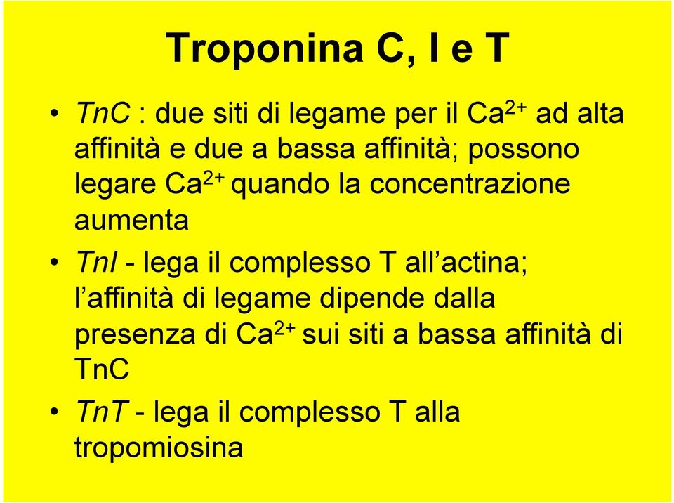 lega il complesso T all actina; l affinità di legame dipende dalla presenza di