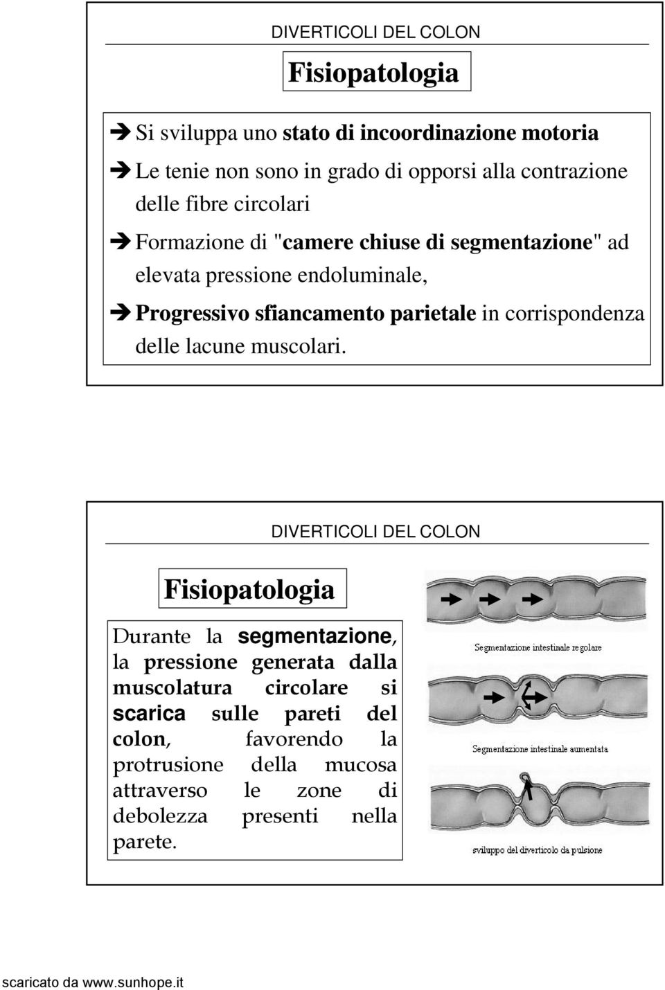 corrispondenza delle lacune muscolari.