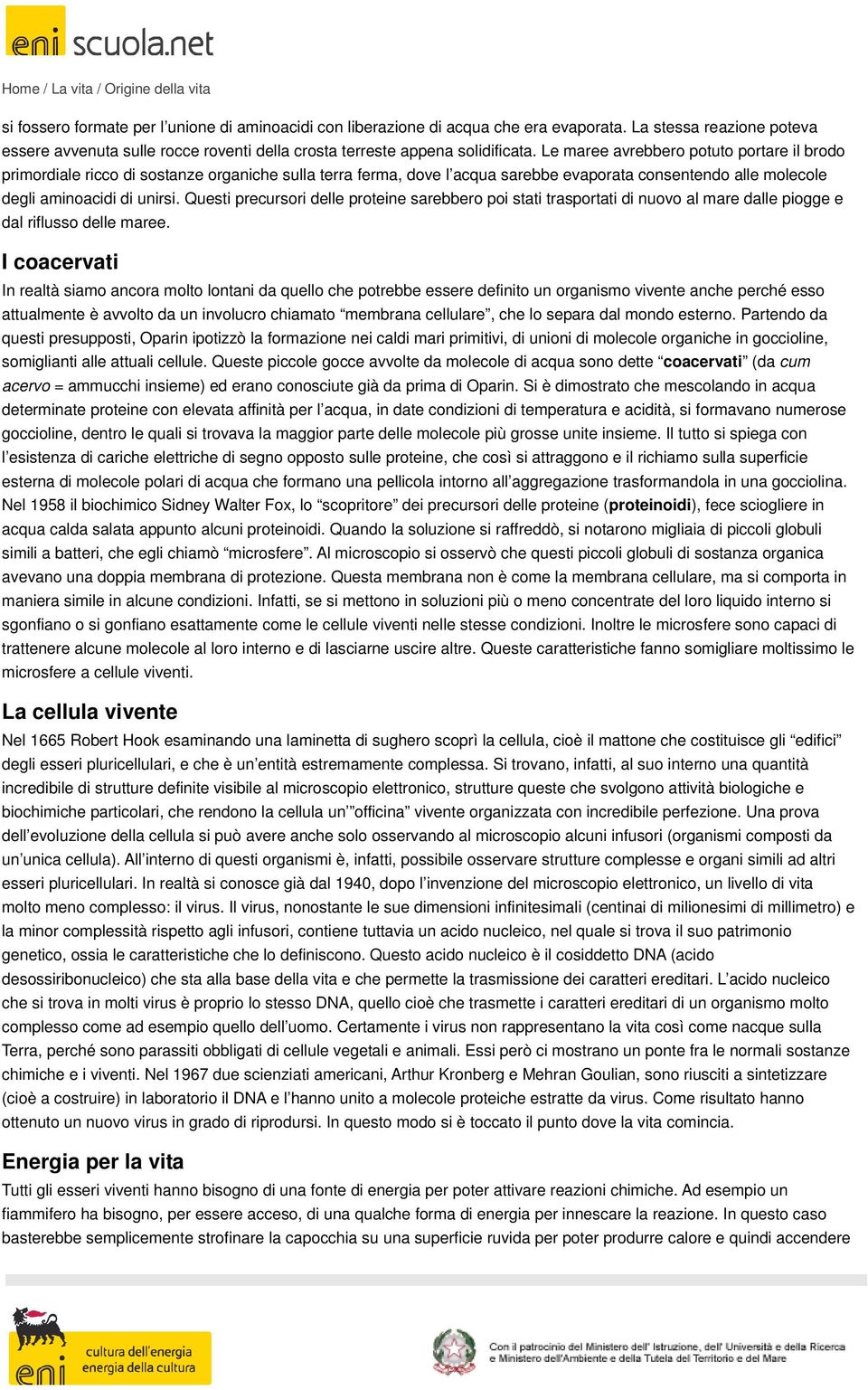 Questi precursori delle proteine sarebbero poi stati trasportati di nuovo al mare dalle piogge e dal riflusso delle maree.