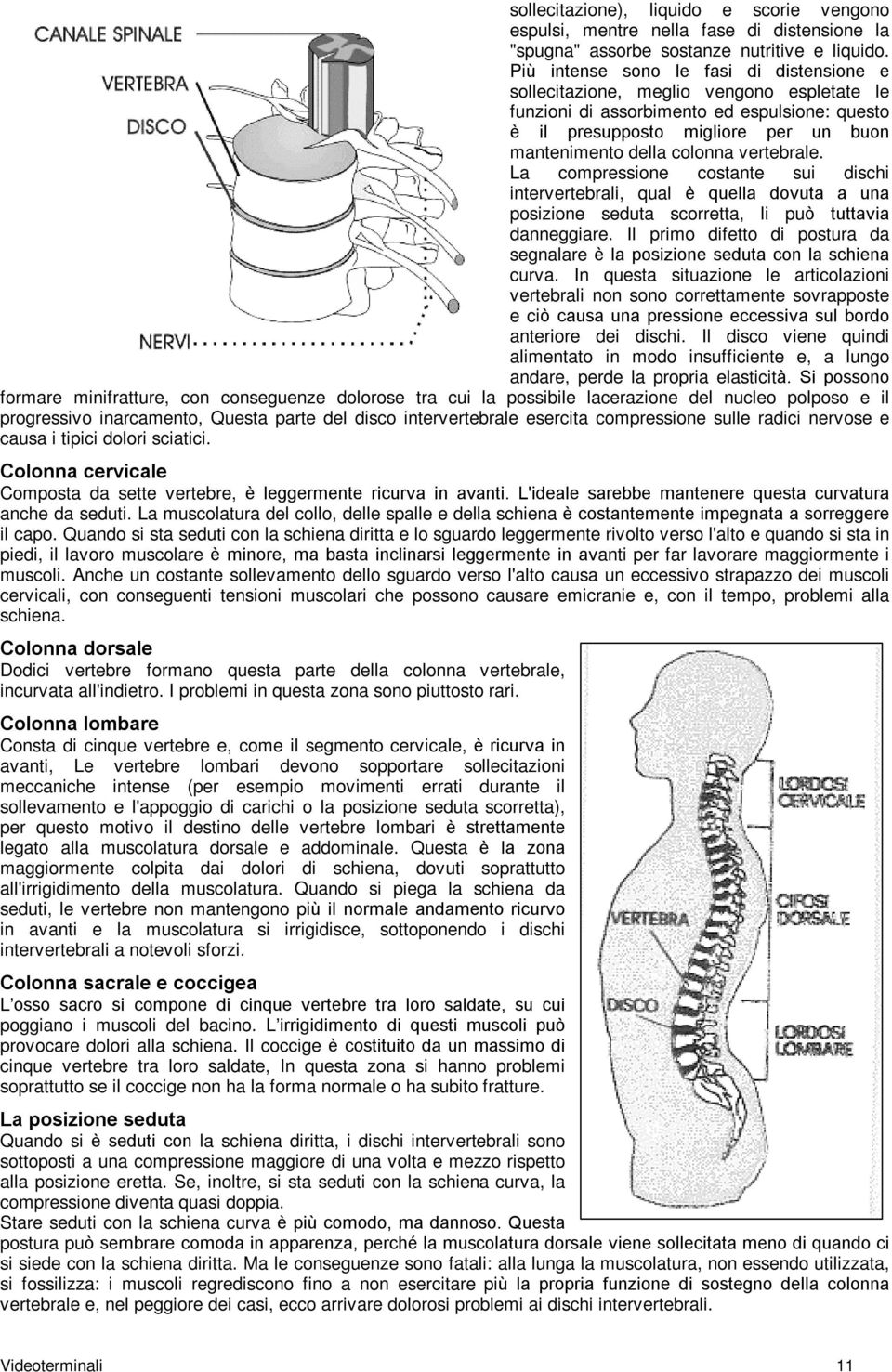 vertebrale. La compressione costante sui dischi intervertebrali, qual è quella dovuta a una posizione seduta scorretta, li può tuttavia danneggiare.