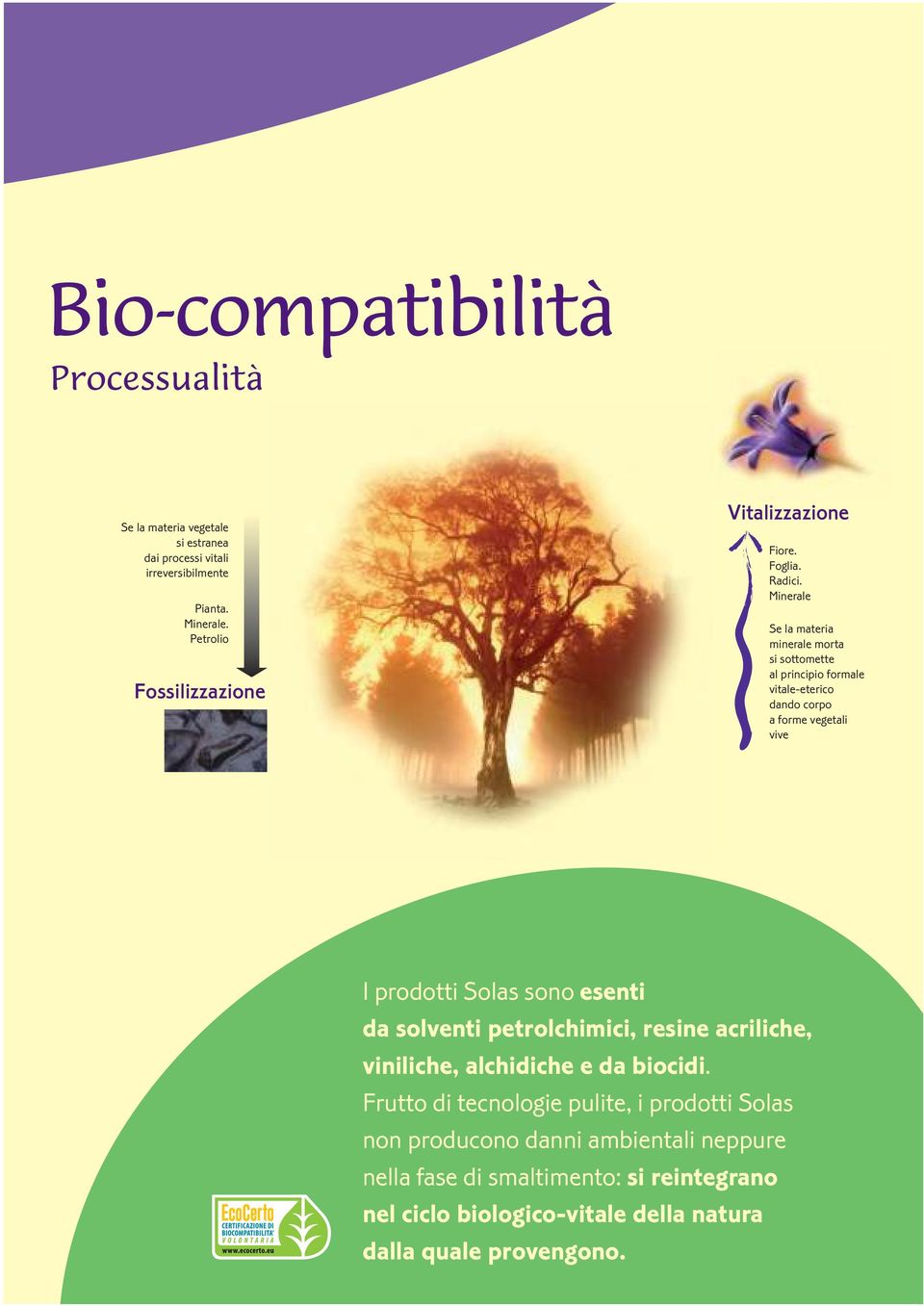 Minerale Se la materia minerale morta si sottomette al principio formale vitale-eterico dando corpo a forme vegetali vive I prodotti Solas sono esenti