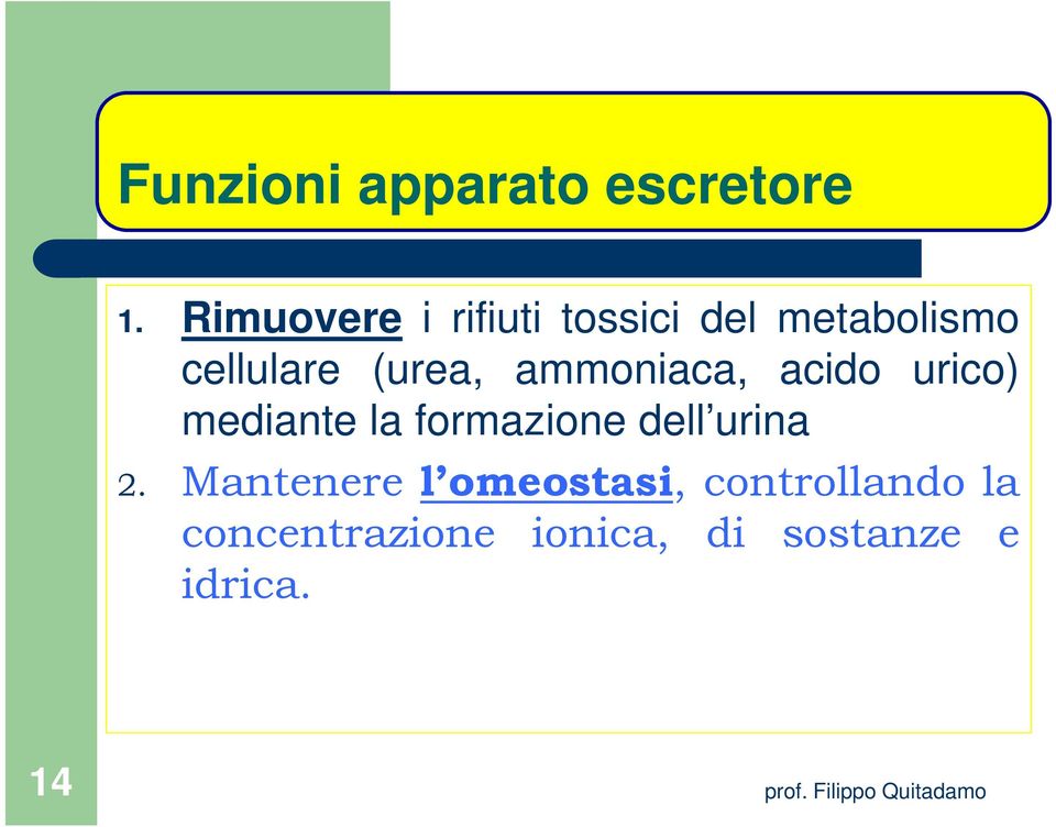 (urea, ammoniaca, acido urico) mediante la formazione dell