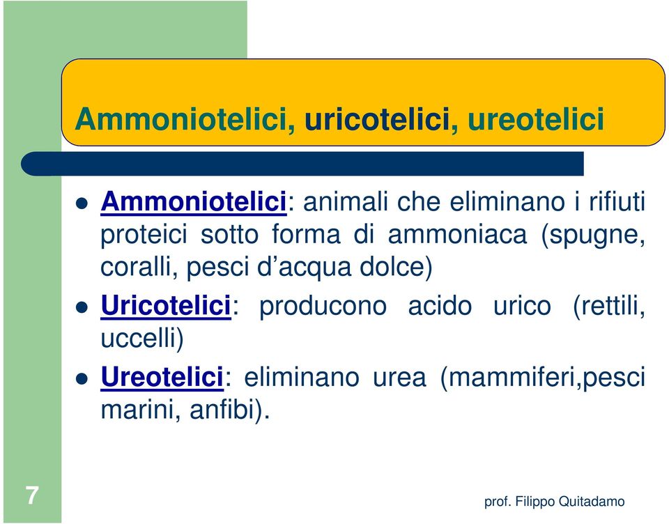 coralli, pesci d acqua dolce) Uricotelici: producono acido urico