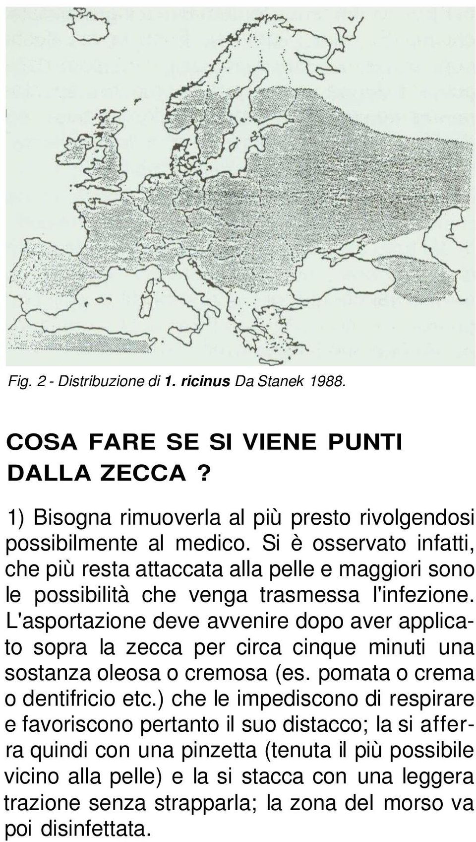 L'asportazione deve avvenire dopo aver applicato sopra la zecca per circa cinque minuti una sostanza oleosa o cremosa (es. pomata o crema o dentifricio etc.