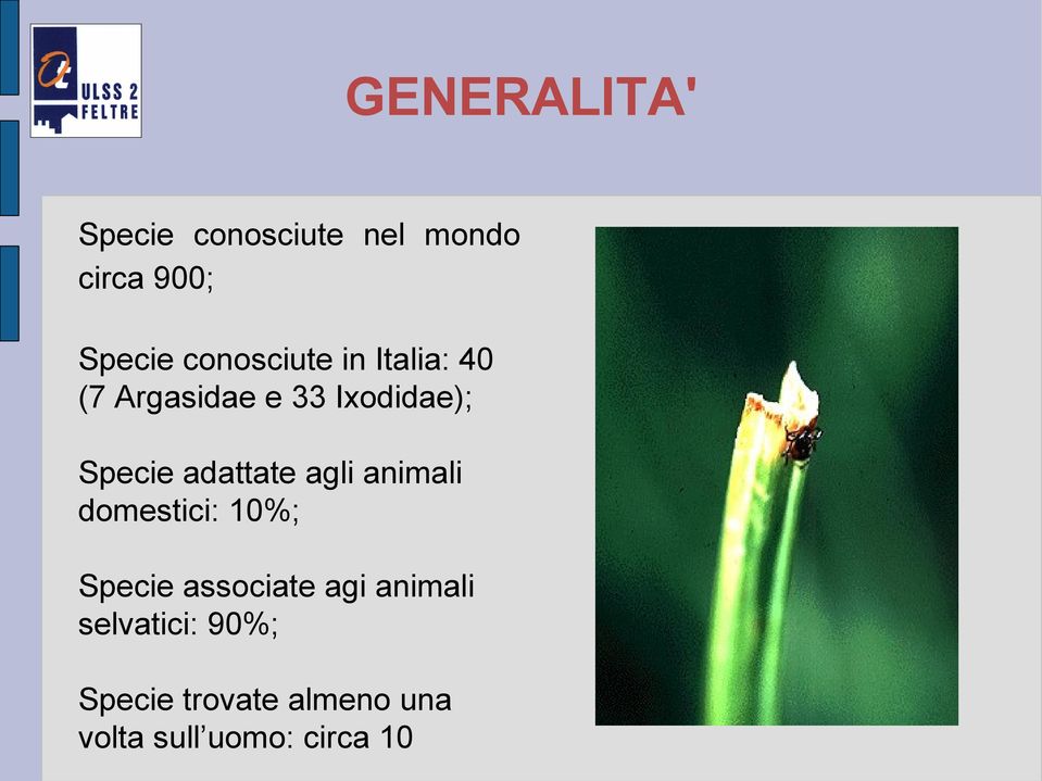 adattate agli animali domestici: 10%; Specie associate agi