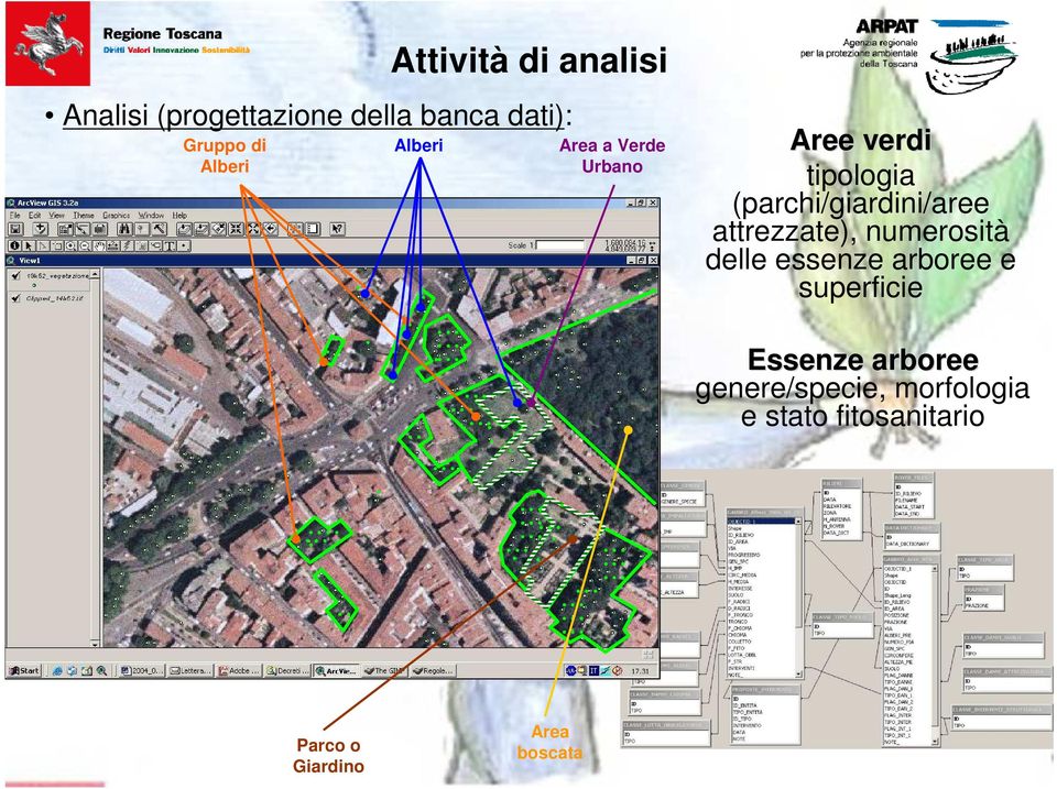 (parchi/giardini/aree attrezzate), numerosità delle essenze arboree e