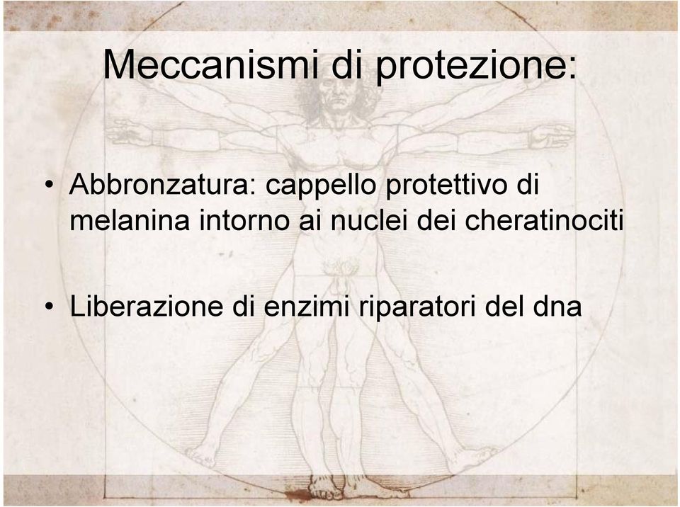 melanina intorno ai nuclei dei