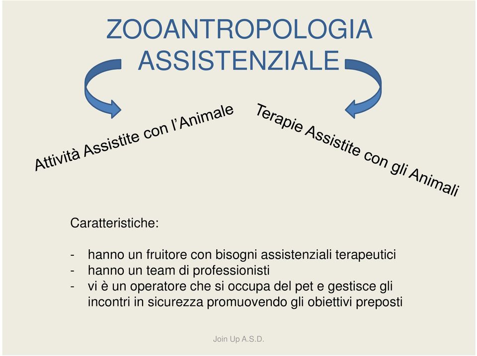 di professionisti - vi è un operatore che si occupa del pet e