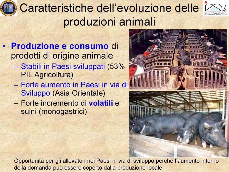 (Asia Orientale) Forte incremento di volatili e suini (monogastrici) Opportunità per gli allevatori