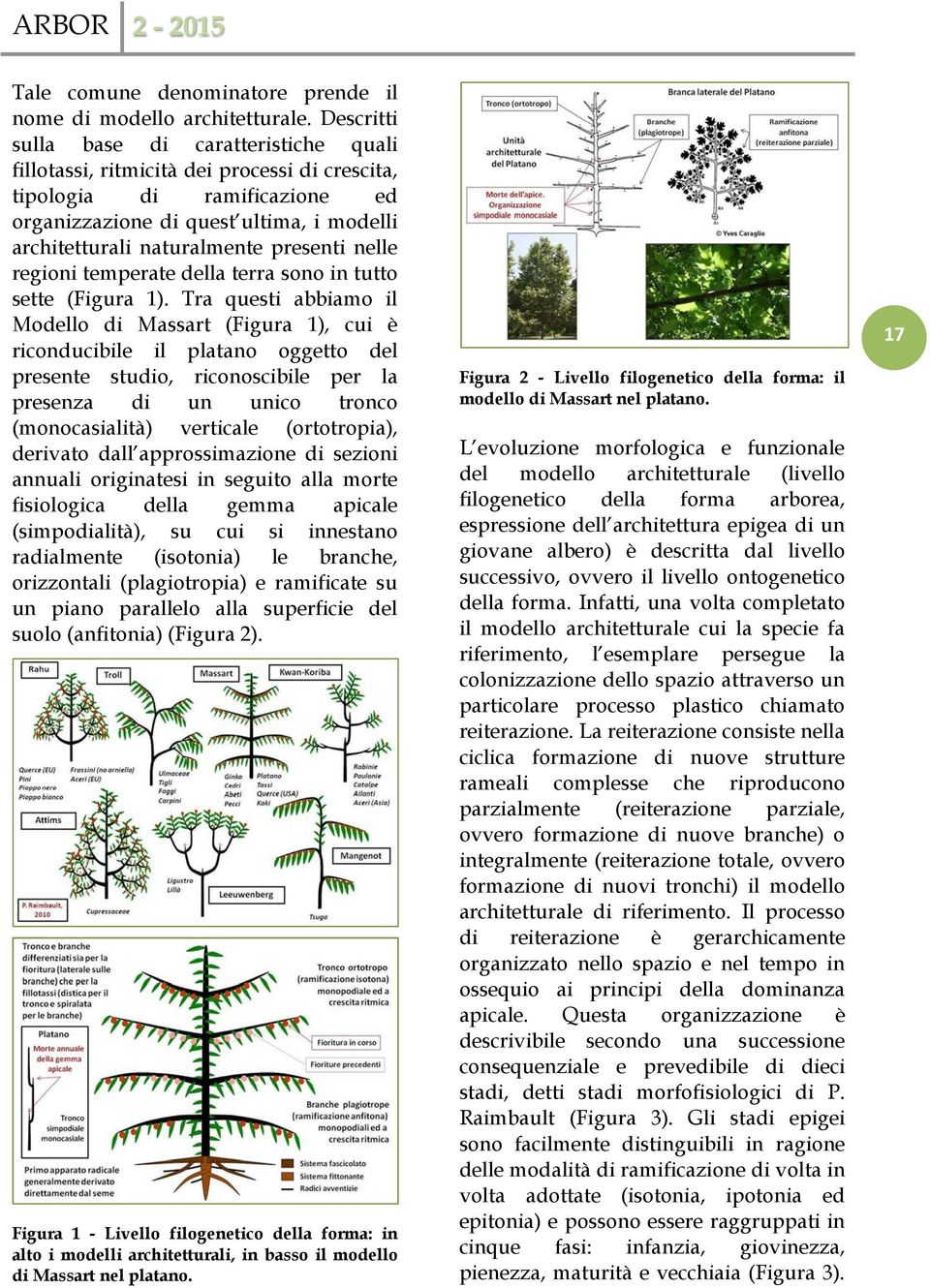 presenti nelle regioni temperate della terra sono in tutto sette (Figura 1).