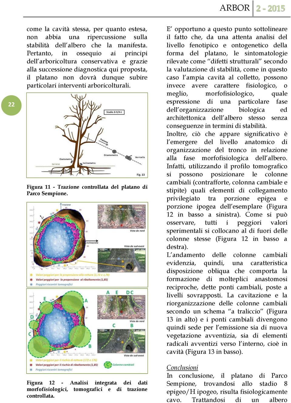 Figura 11 - Trazione controllata del platano di Parco Sempione. Figura 12 - Analisi integrata dei dati morfofisiologici, tomografici e di trazione controllata.