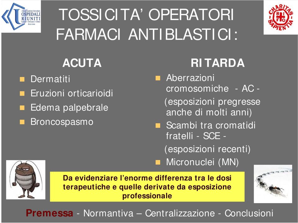 cromatidi fratelli - SCE - (esposizioni recenti) Micronuclei (MN) Da evidenziare l enorme differenza tra le