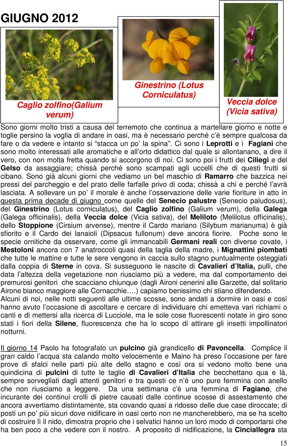 Ci sono i Leprotti e i Fagiani che sono molto interessati alle aromatiche e all orto didattico dal quale si allontanano, a dire il vero, con non molta fretta quando si accorgono di noi.