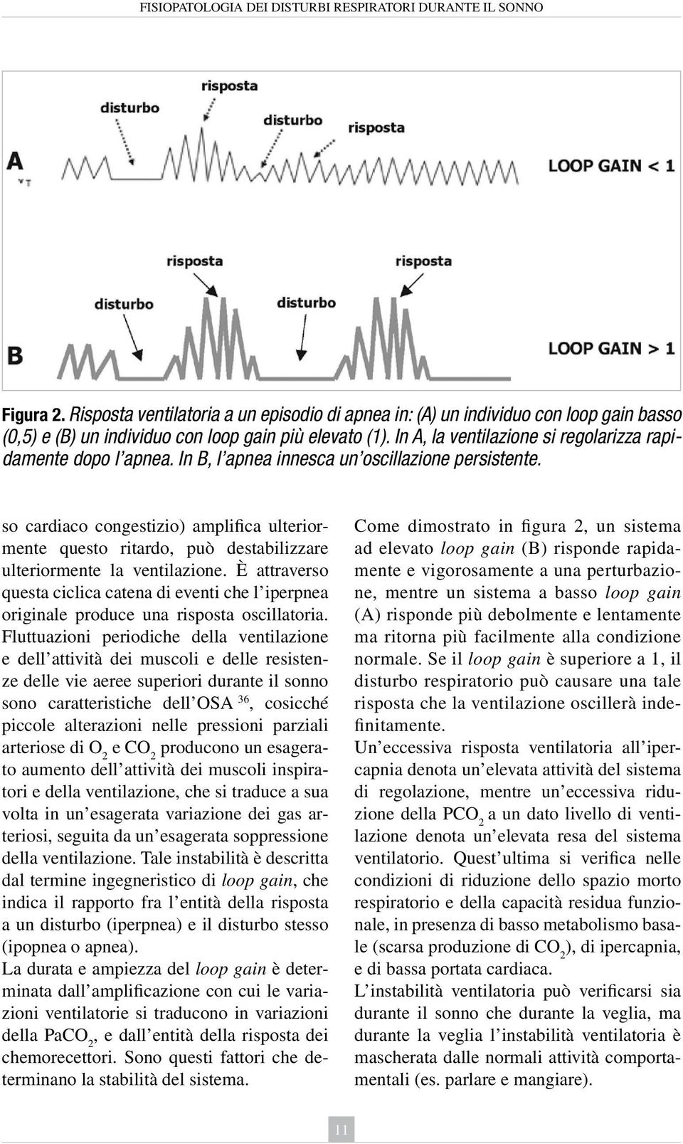 In A, la ventilazione si regolarizza rapidamente dopo l apnea. In B, l apnea innesca un oscillazione persistente.