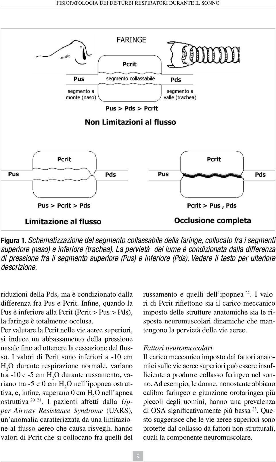 riduzioni della Pds, ma è condizionato dalla differenza fra Pus e Pcrit. Infine, quando la Pus è inferiore alla Pcrit (Pcrit > Pus > Pds), la faringe è totalmente occlusa.