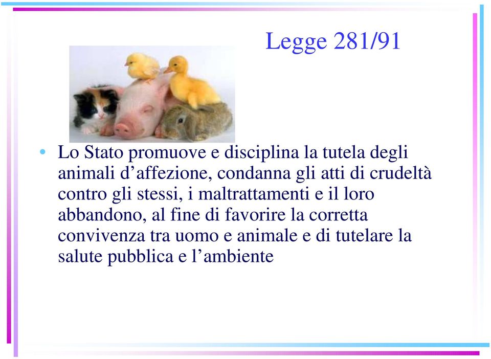 maltrattamenti e il loro abbandono, al fine di favorire la corretta