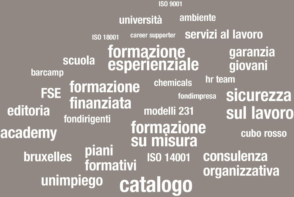 esperienziale chemicals modelli 231 ISO 14001 servizi al lavoro garanzia giovani