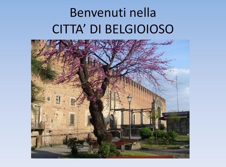 CITTA DI