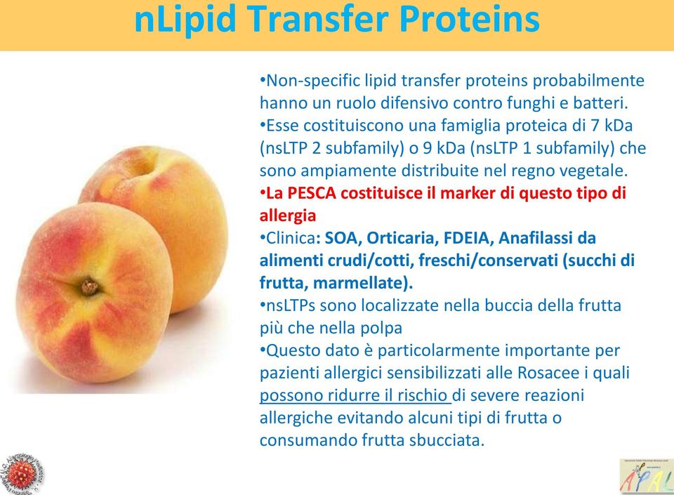 La PESCA costituisce il marker di questo tipo di allergia Clinica: SOA, Orticaria, FDEIA, Anafilassi da alimenti crudi/cotti, freschi/conservati (succhi di frutta, marmellate).