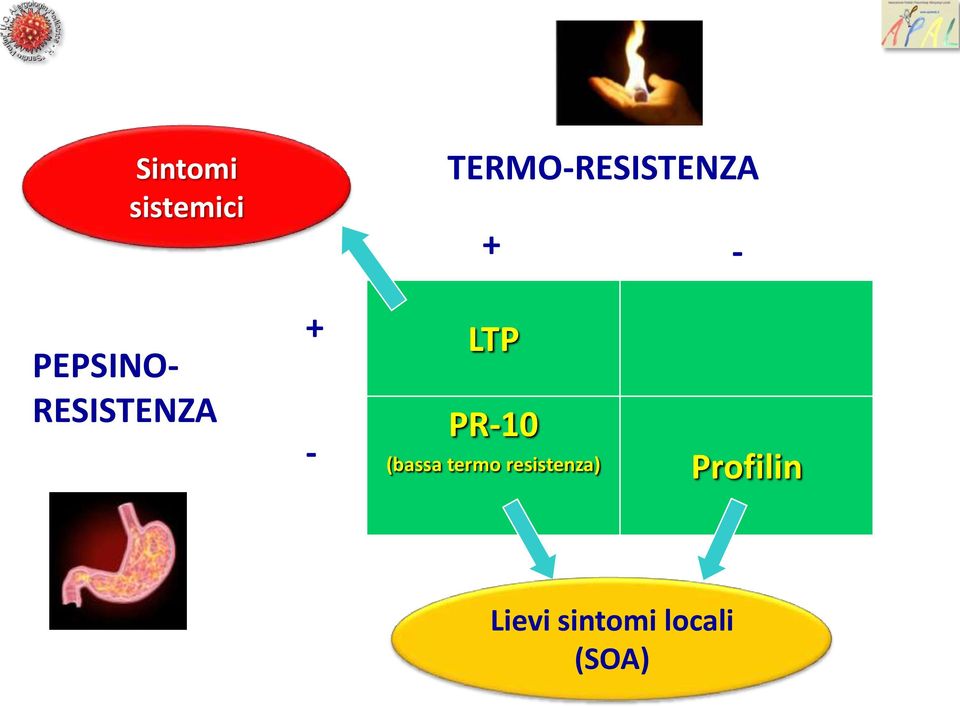 RESISTENZA + - LTP PR-10 (bassa