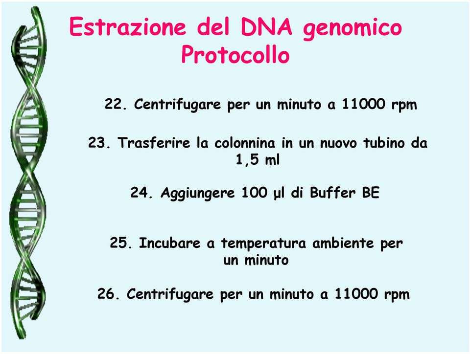 Trasferire la colonnina in un nuovo tubino da 1,5 ml 24.